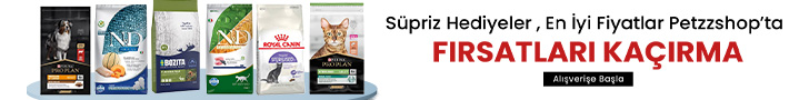 online petshop