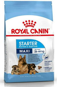 Royal Canin Maxi Starter Anne ve Yavru Köpek Maması