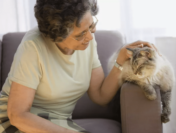 yaşlı kedilerin veteriner ziyaret zamanları