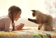 evde-kedi-beslemenin-cocuklarda-empati-duygusunu-gelistirmesi