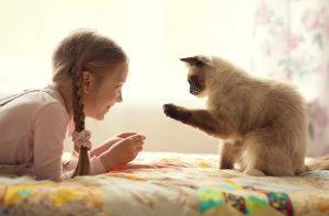 evde-kedi-beslemenin-cocuklarda-empati-duygusunu-gelistirmesi