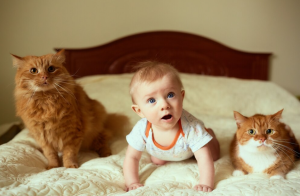 kediler bebeklerin yanında güvende midir